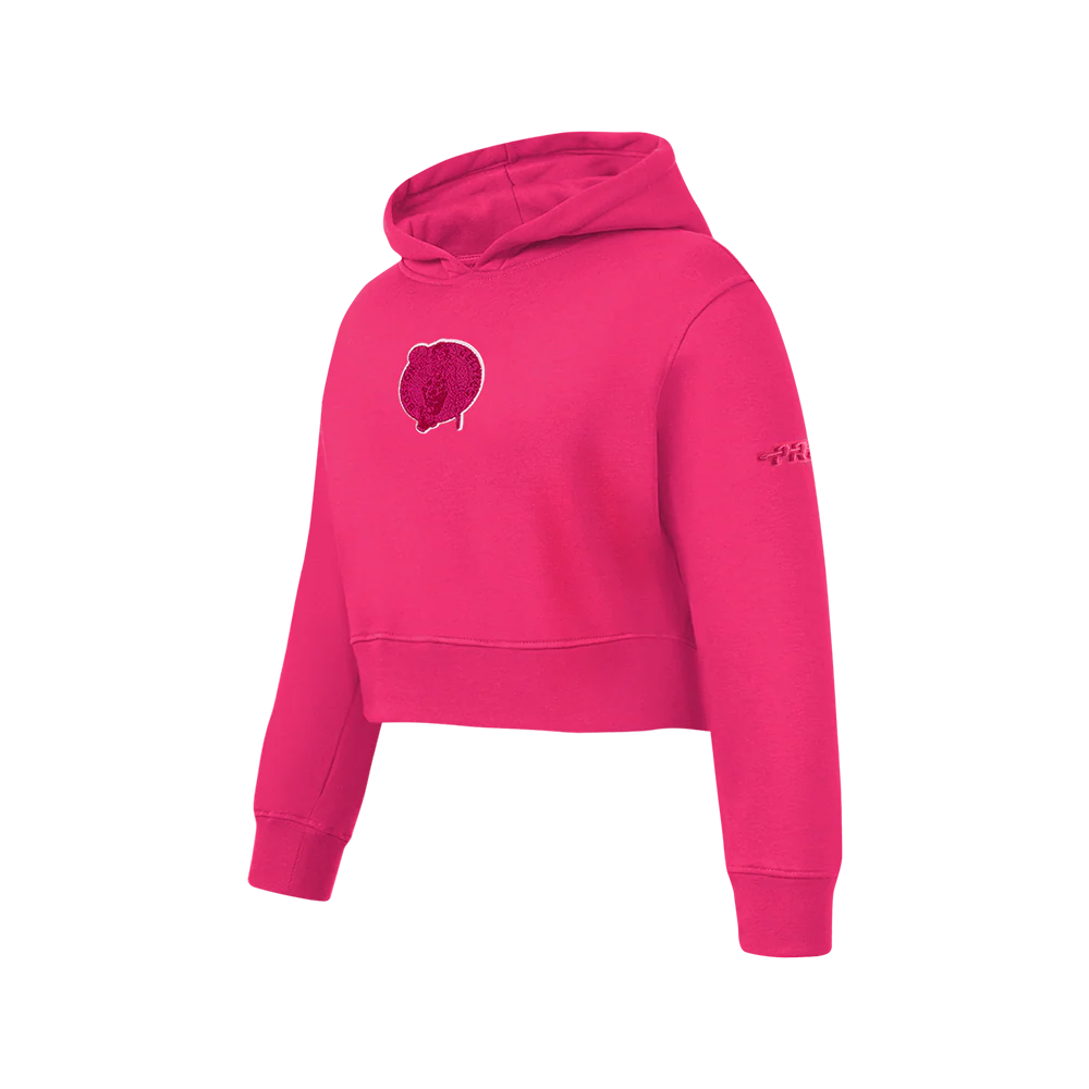 NBA BOSTON CELTICS TRIPLE PINK BIG GIRLS FLC PO HOODIE (BEETROOT PURPLE) - Image 2