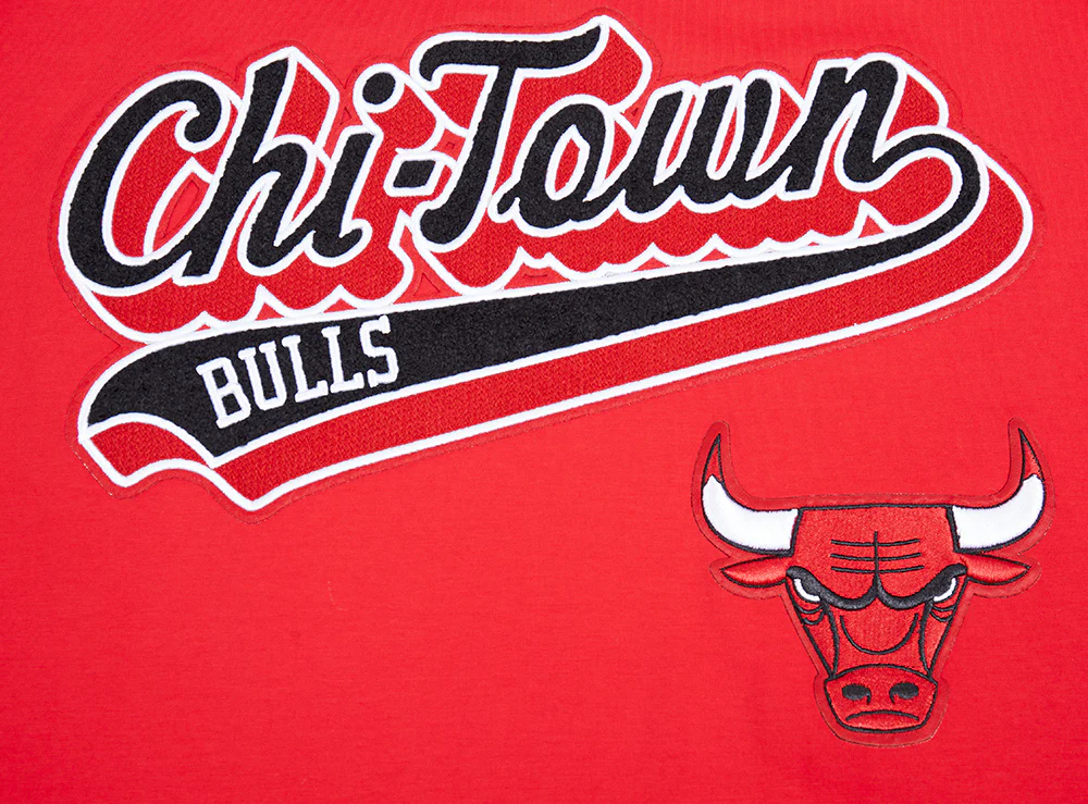 NBA CHICAGO BULLS SCRIPT TAIL MEN'S   TEE (RED) - Image 5