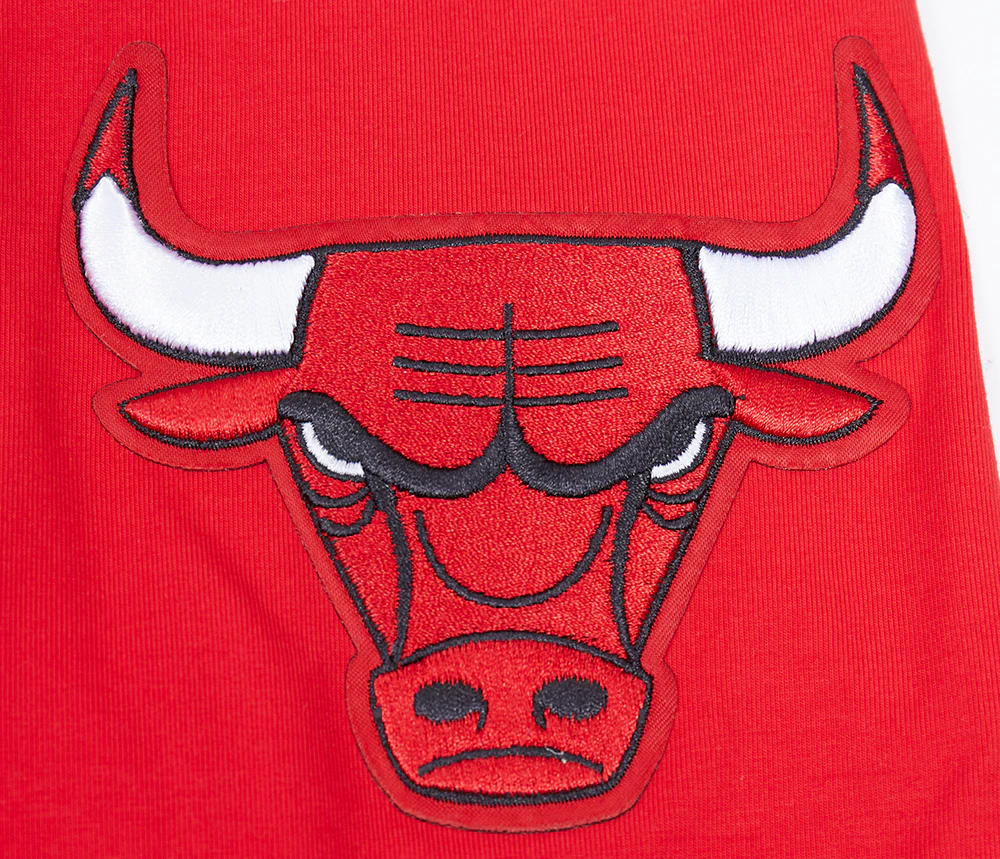 NBA CHICAGO BULLS SCRIPT TAIL MEN'S   TEE (RED) - Image 7