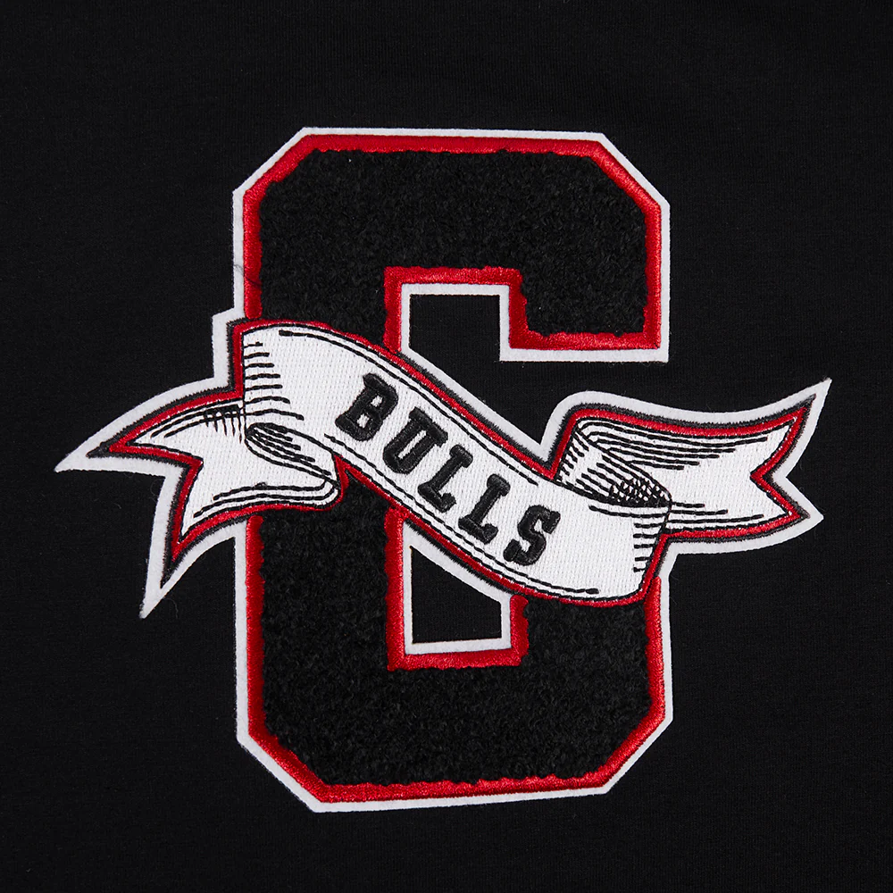 NBA CHICAGO BULLS TEAM PENNATS MEN'S SJ TEE (BLACK) - Image 6