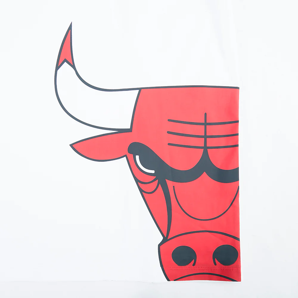NBA CHICAGO BULLS LIVING LARGE MEN'S CJ DROP SHOULDER TEE (WHITE) - Image 5