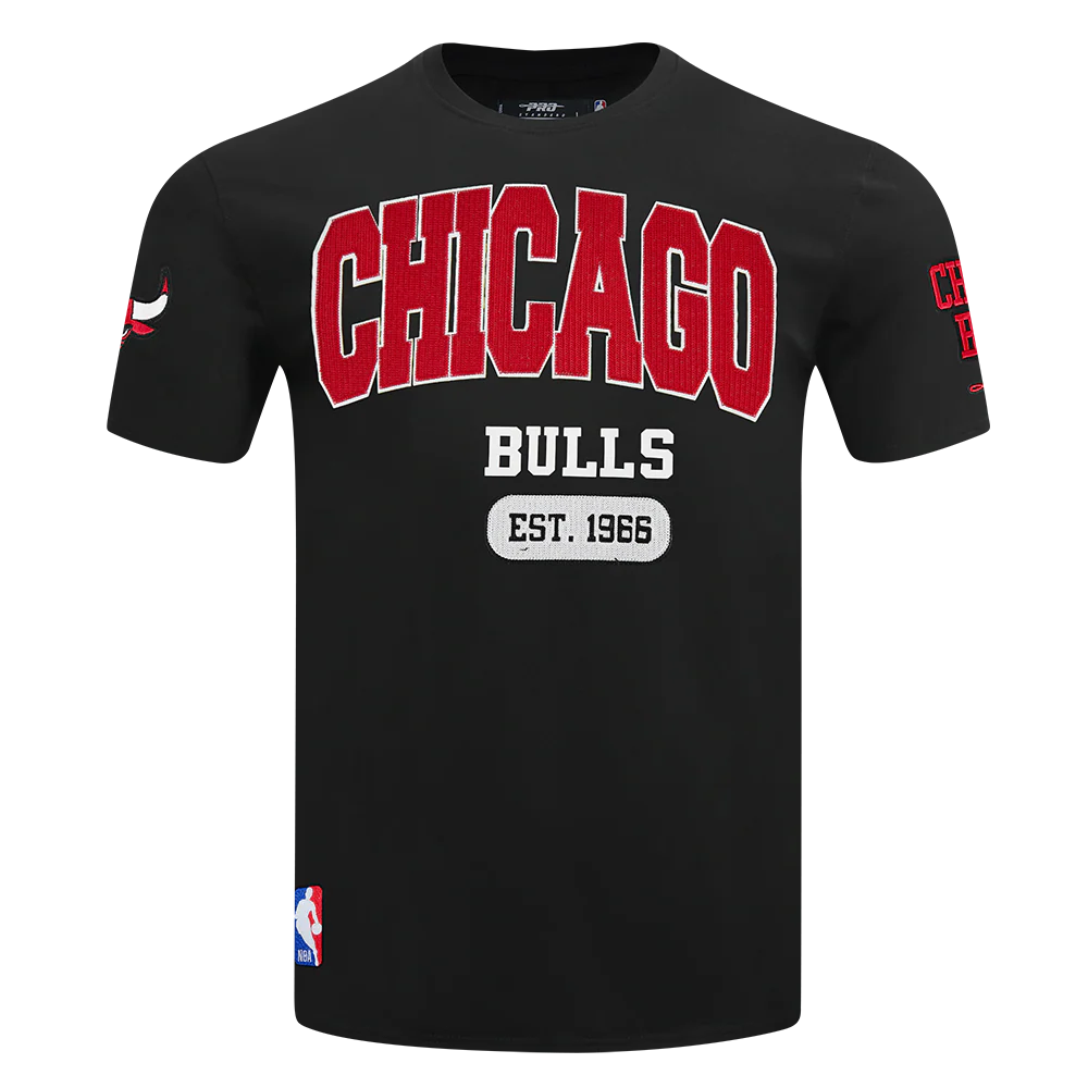 NBA CHICAGO BULLS CITY ARCH MEN'S SJ TEE (BLACK) - Image 3