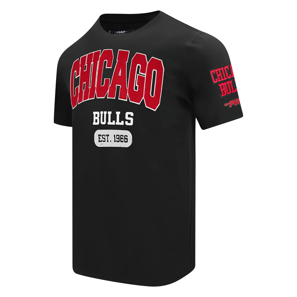 NBA CHICAGO BULLS CITY ARCH MEN'S SJ TEE (BLACK) - Image 4