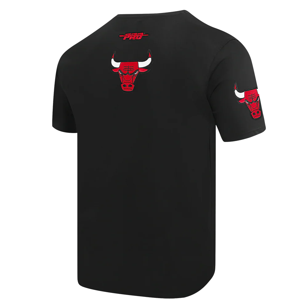 NBA CHICAGO BULLS CITY ARCH MEN'S SJ TEE (BLACK) - Image 6