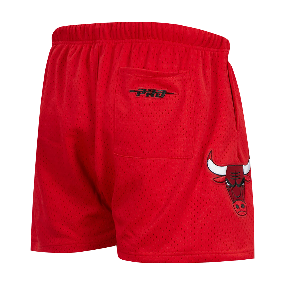 NBA CHICAGO BULLS BEST OF MEN'S MESH SHORT (RED) - Image 9