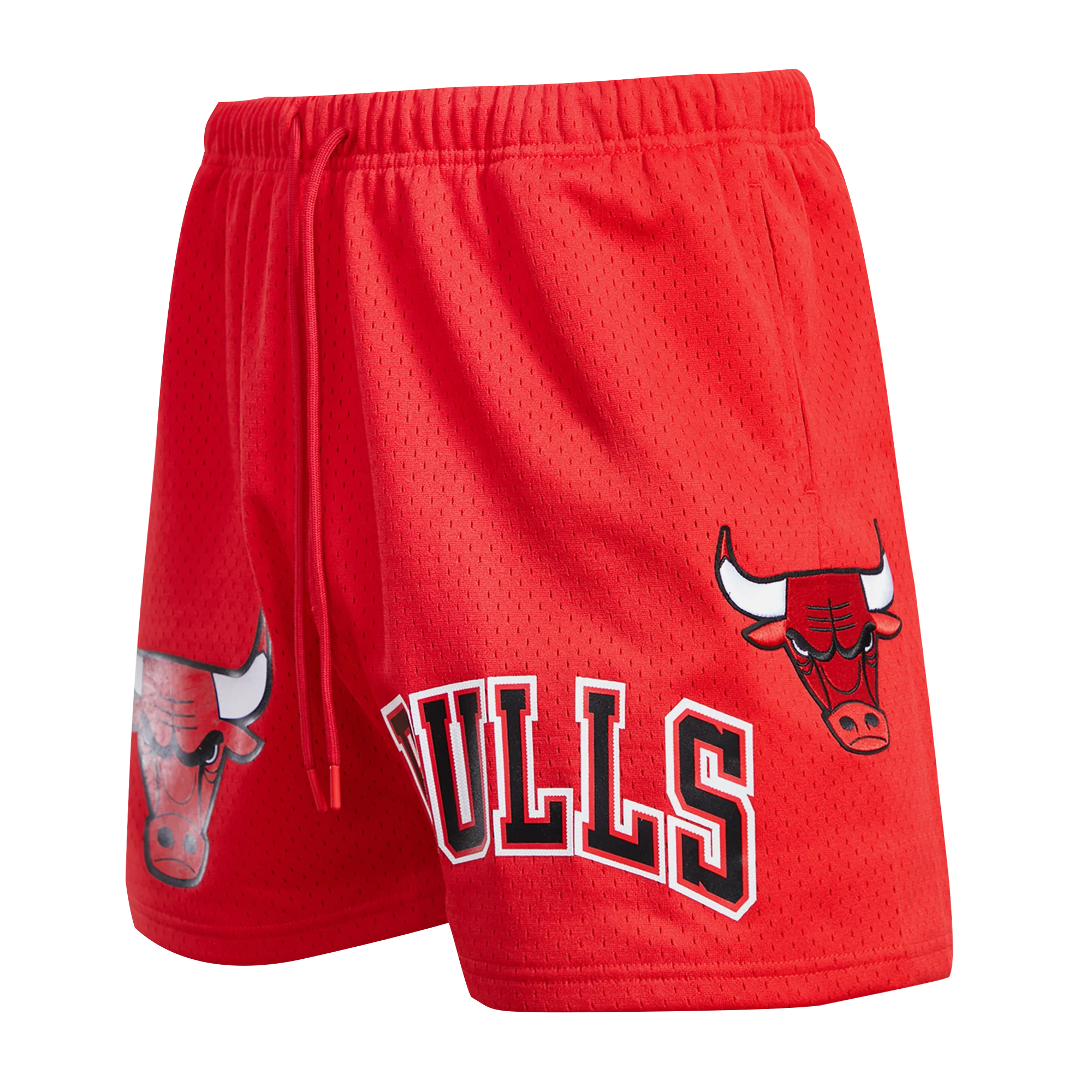 NBA CHICAGO BULLS LOGO MEN'S MESH SHORT (RED) - Image 2
