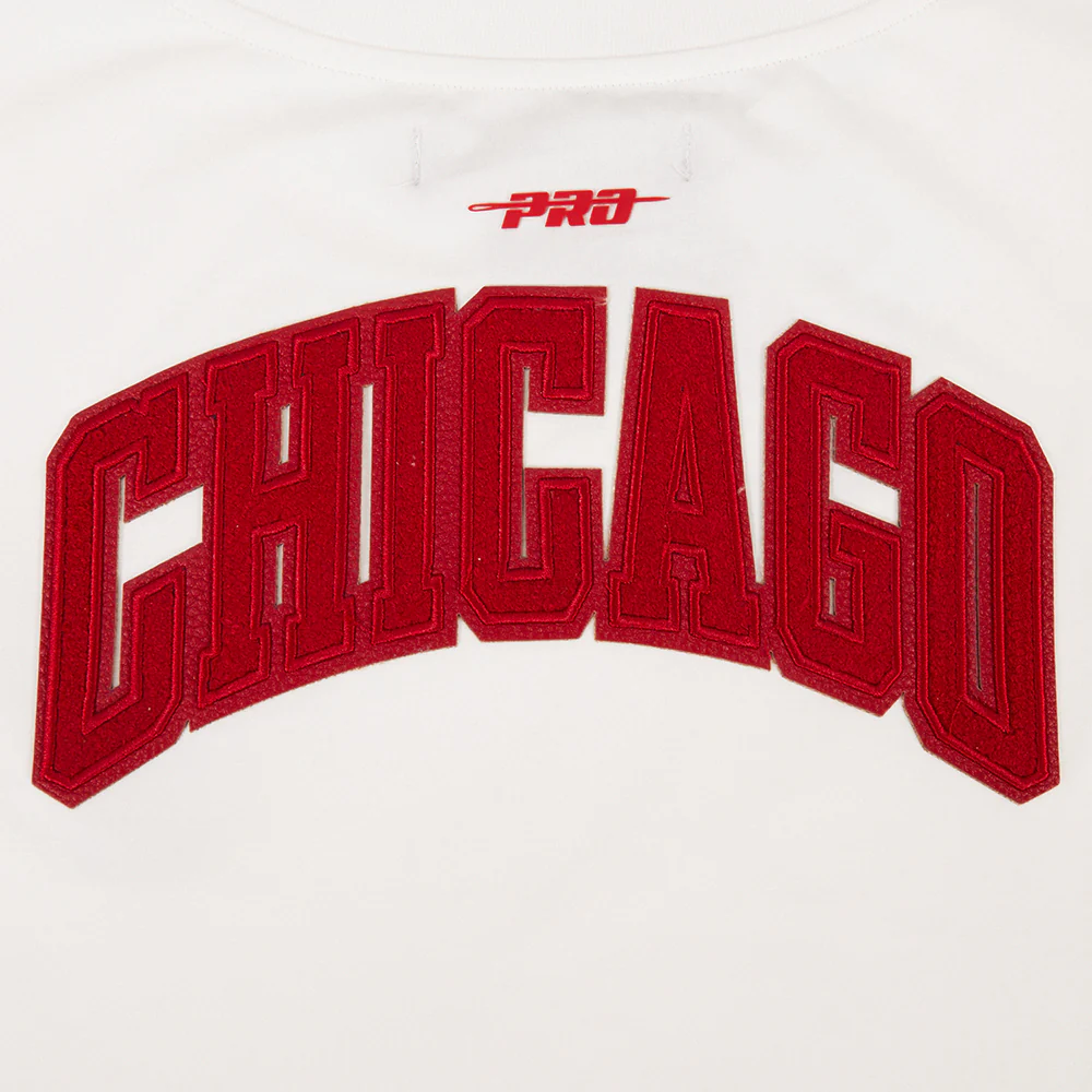 NBA CHICAGO BULLS TRIPLE TONAL SJ BOXY TEE (EGGSHELL) - Image 6