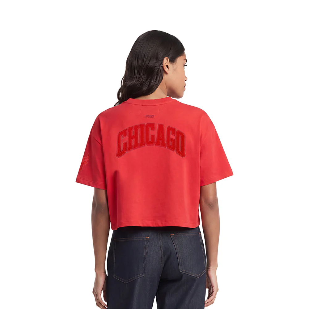 NBA CHICAGO BULLS TRIPLE TONAL SJ BOXY TEE (RED) - Image 2
