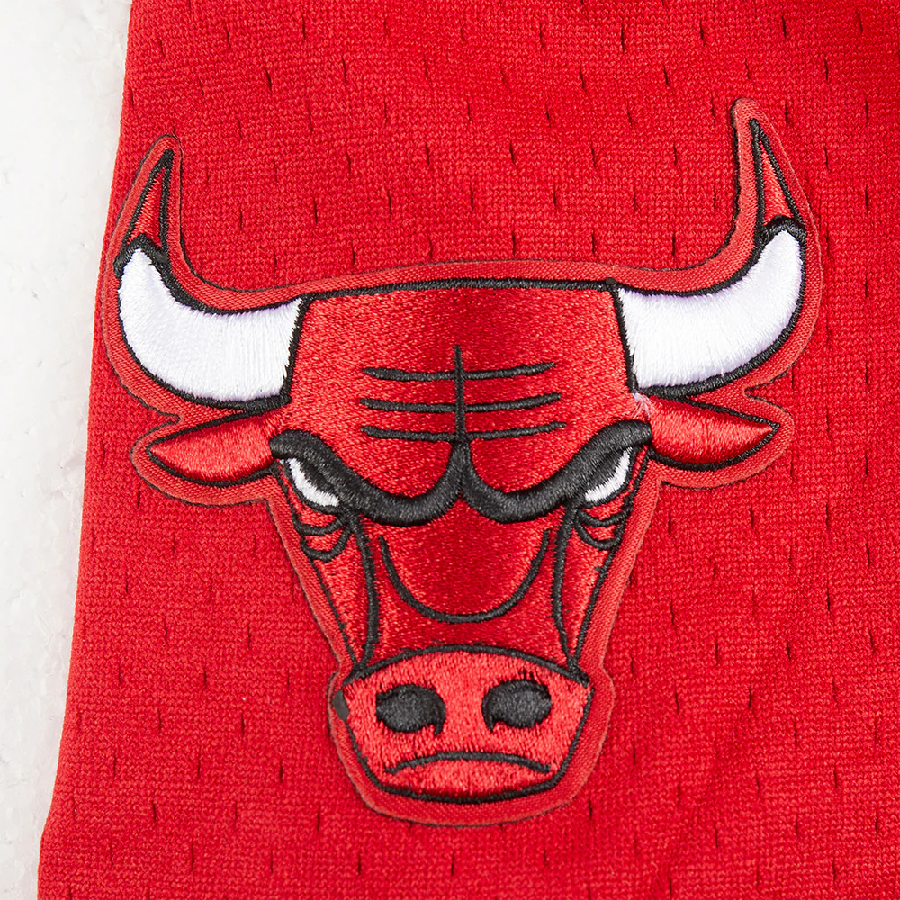 NBA CHICAGO BULLS CLASSIC BIG BOYS MESH BUTTON DOWN SHIRT (RED/BLACK) - Image 7