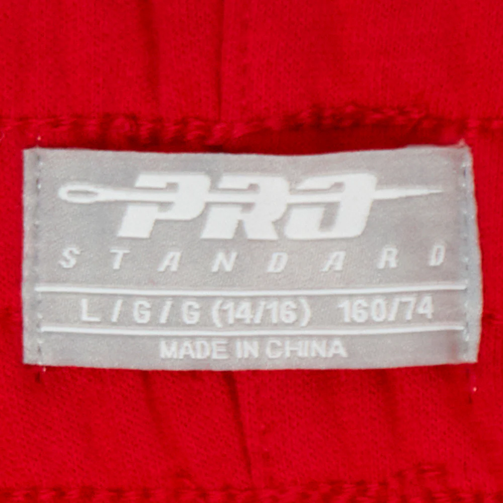 NBA CHICAGO BULLS CLASSIC BIG BOYS FLC SWEATPANT (RED) - Image 7