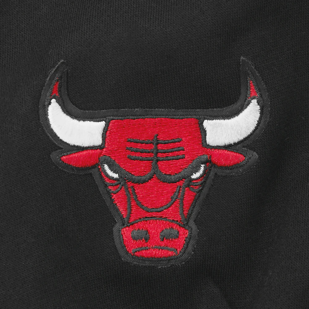 NBA CHICAGO BULLS WINGSPAN BIG BOY'S DROP SHOULDER FLC PO HOODIE (BLACK) - Image 5