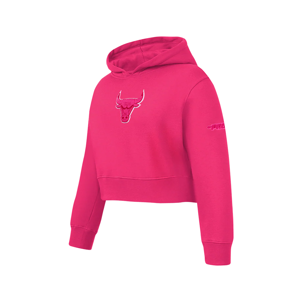 NBA CHICAGO BULLS TRIPLE PINK BIG GIRLS FLC PO HOODIE (BEETROOT PURPLE) - Image 2