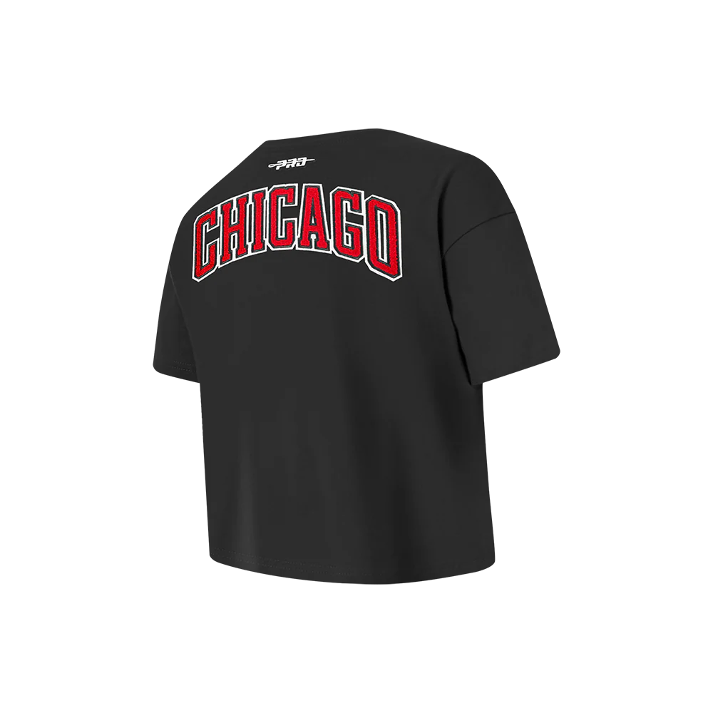 NBA CHICAGO BULLS CLASSIC LITTLE GIRLS SHORT SLEEVE BOXY TEE (BLACK) - Image 4