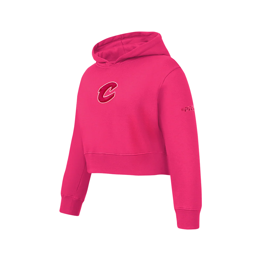 NBA CLEVELAND CAVALIERS TRIPLE PINK BIG GIRLS FLC PO HOODIE (BEETROOT PURPLE) - Image 2