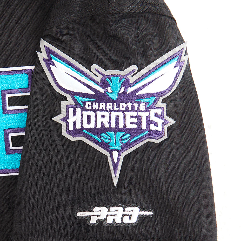 NBA CHARLOTTE HORNETS CLASSIC BIG BOYS SHORT SLEEVE STRIPED RIB TEE (BLACK/GRAY) - Image 4