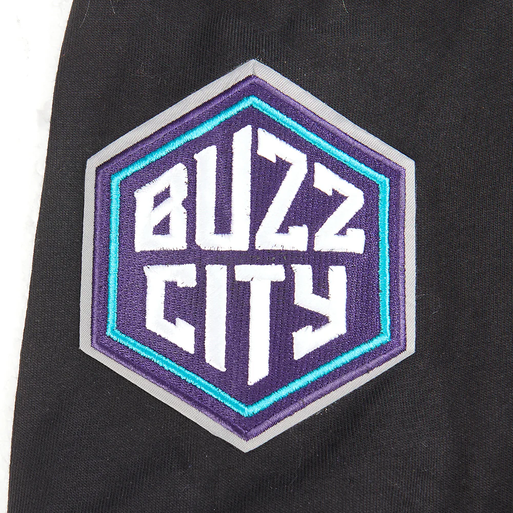 NBA CHARLOTTE HORNETS CLASSIC BIG BOYS SHORT SLEEVE STRIPED RIB TEE (BLACK/GRAY) - Image 5
