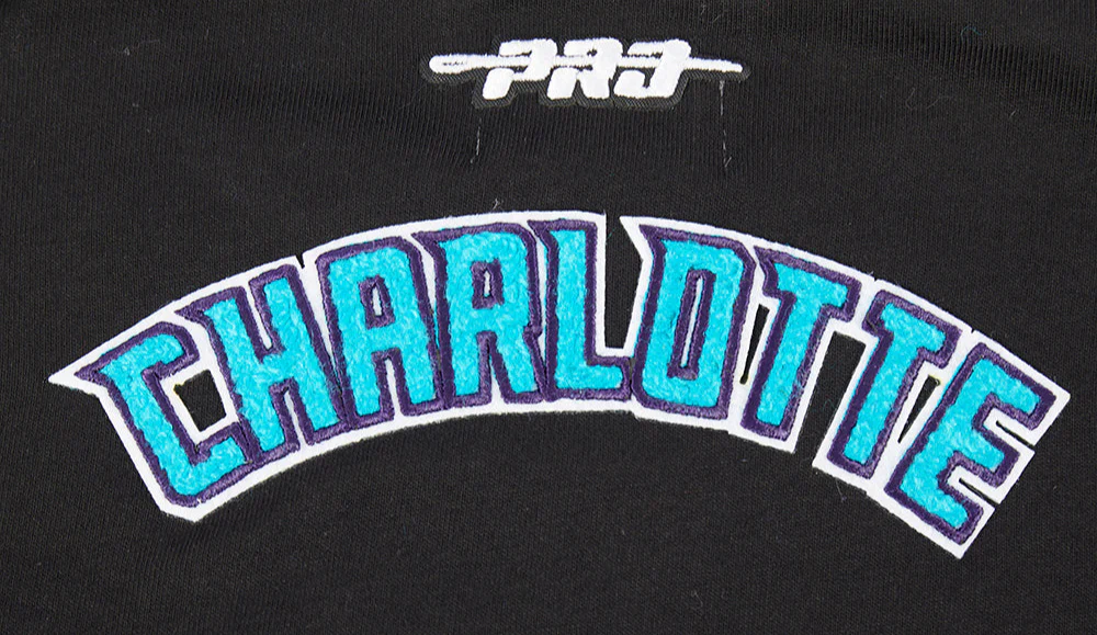 NBA CHARLOTTE HORNETS CLASSIC TODDLER GIRLS SHORT SLEEVE BOXY TEE (BLACK) - Image 7