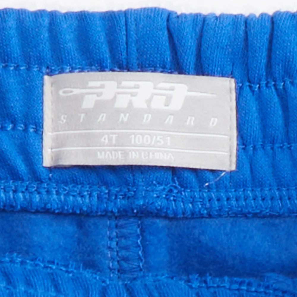 NBA DETROIT PISTONS CLASSIC TODDLER BOYS FLC SWEATPANT (ROYAL BLUE) - Image 8