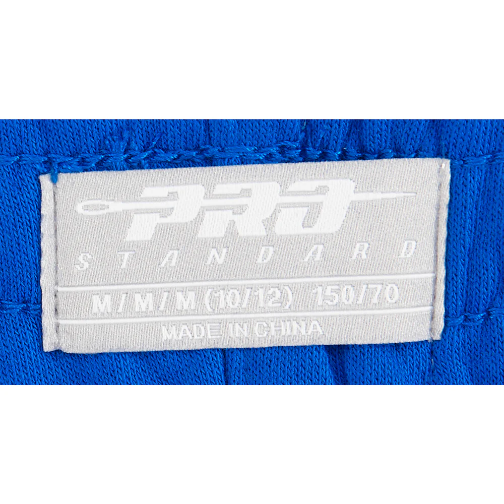 NBA PHILADELPHIA 76ERS CLASSIC BIG BOYS FLC SWEATPANT (ROYAL BLUE) - Image 8