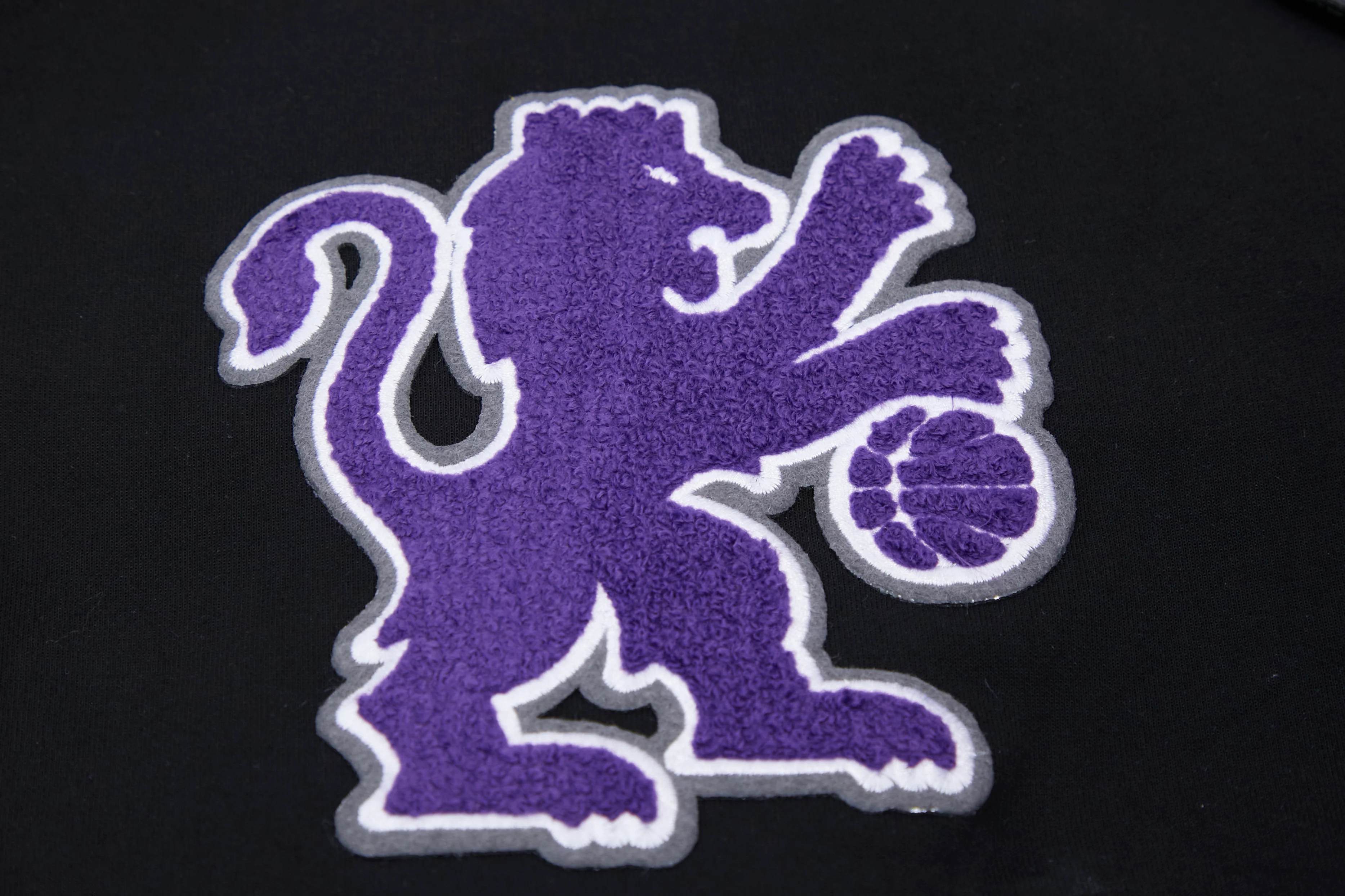 NBA SACRAMENTO KINGS CLASSIC CHENILLE MEN'S SHORT (BLACK) - Image 9