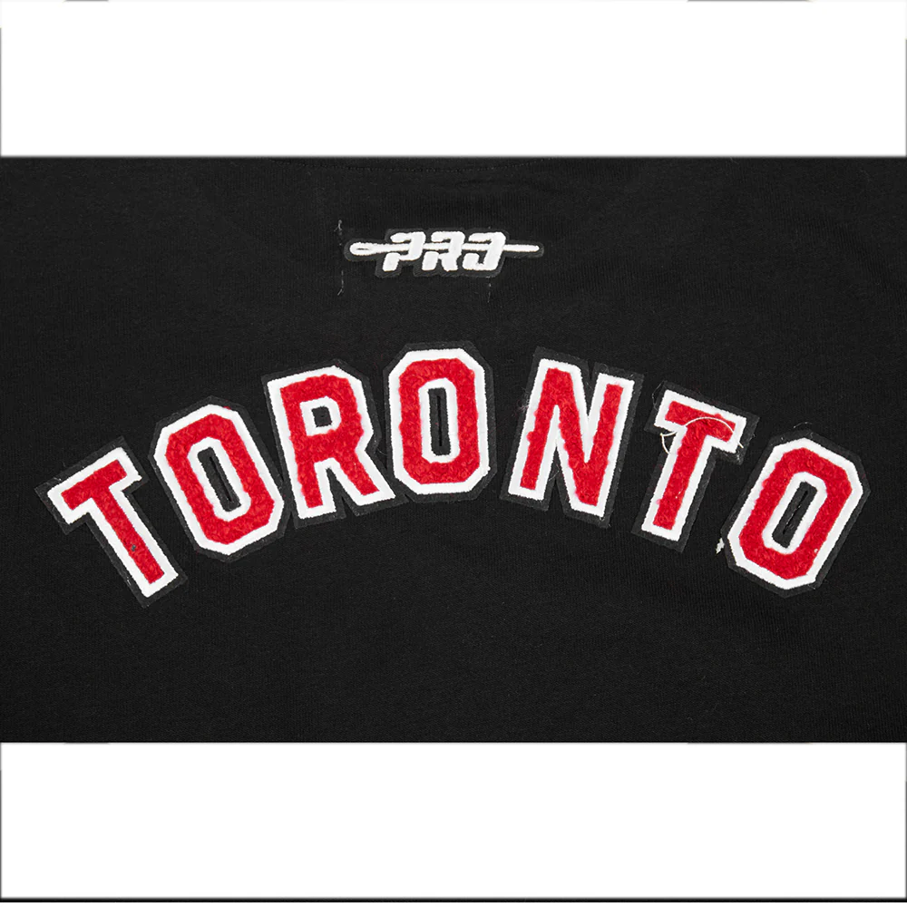 NBA TORONTO RAPTORS CLASSIC BIG GIRLS SHORT SLEEVE BOXY TEE (BLACK) - Image 7