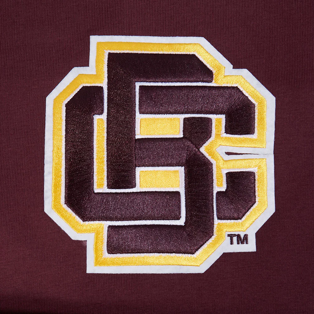BETHUNE-COOKMAN UNIVERSITY WINGSPAN MEN'S CJ DROP SHOULDER TEE (WINE) - Image 7