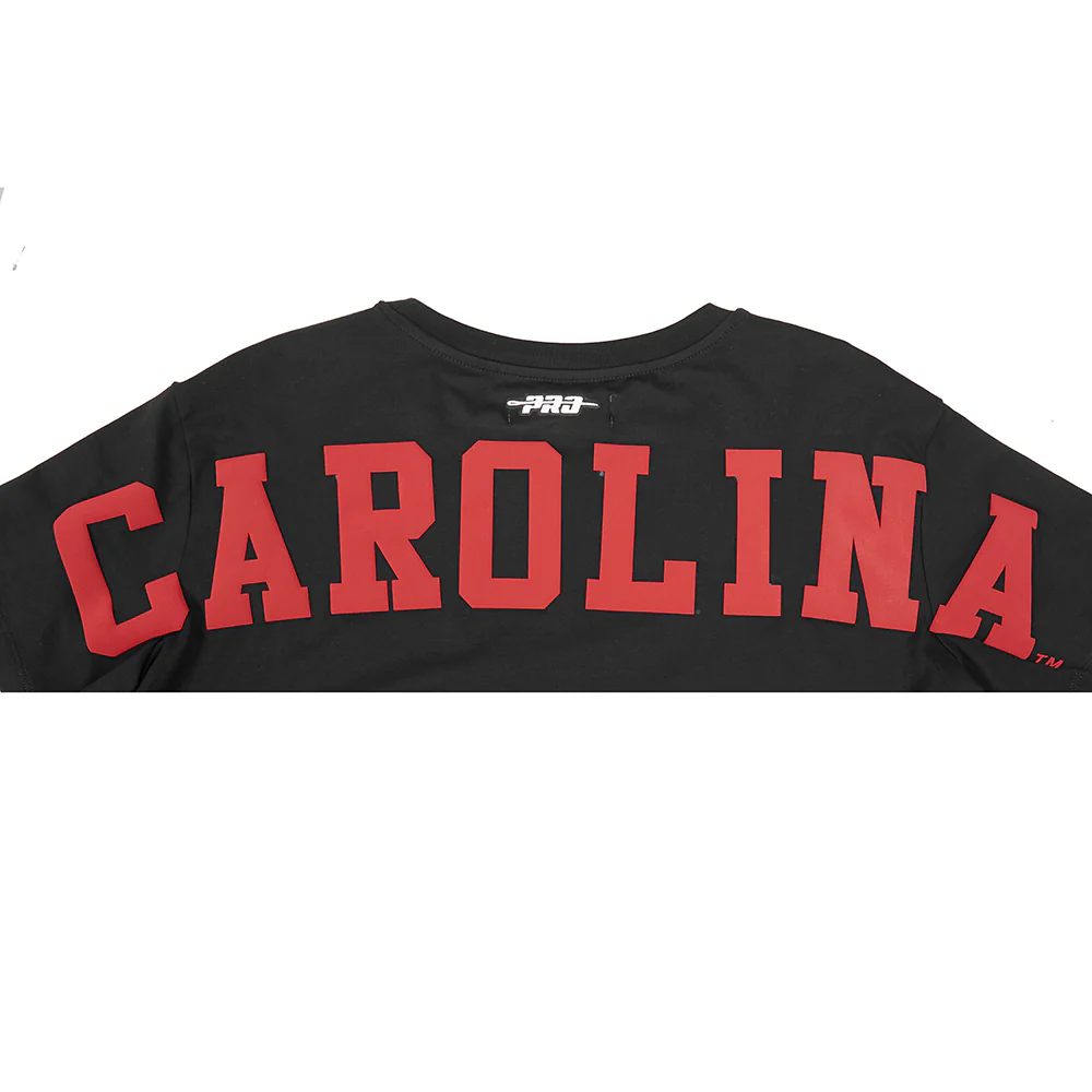 COLLEGE UNIVERSITY OF SOUTH CAROLINA WINGSPAN WOMEN'S SJ BOXY TEE (BLACK) - Image 10
