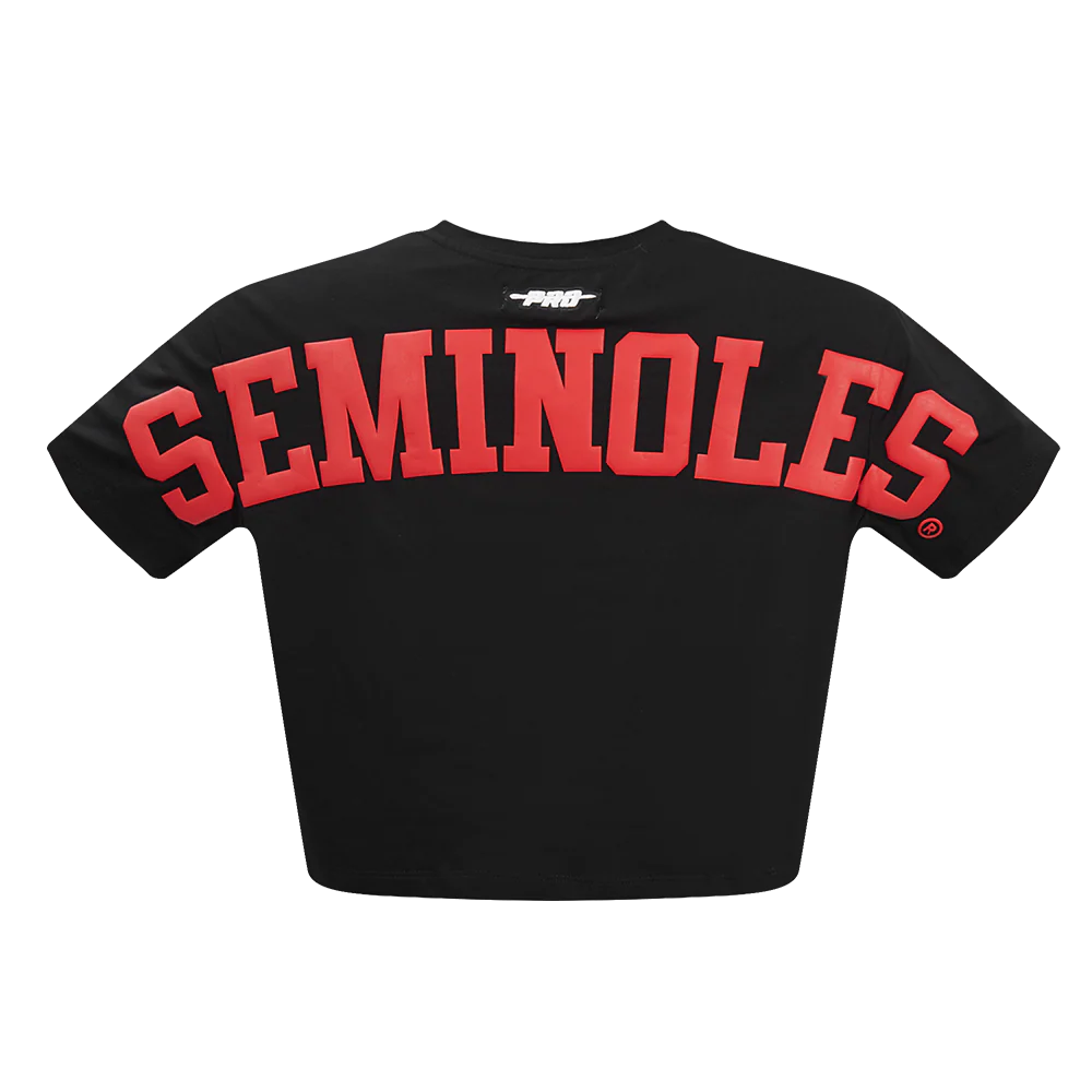 COLLEGE FLORIDA STATE UNIVERSITY WINGSPAN WOMEN'S SJ BOXY TEE (BLACK) - Image 7