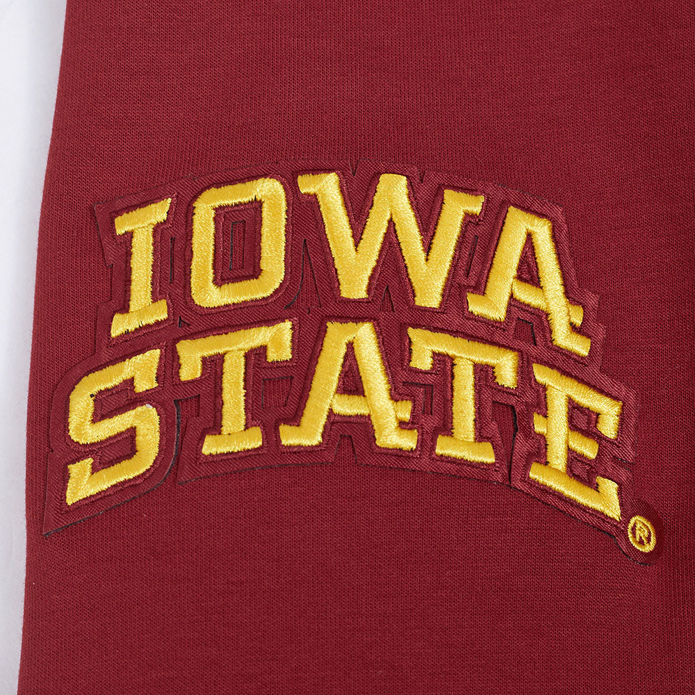 IOWA STATE UNIVERSITY CLASSIC MEN'S FZ PO HOODIE (CARDINAL RED) - Image 5