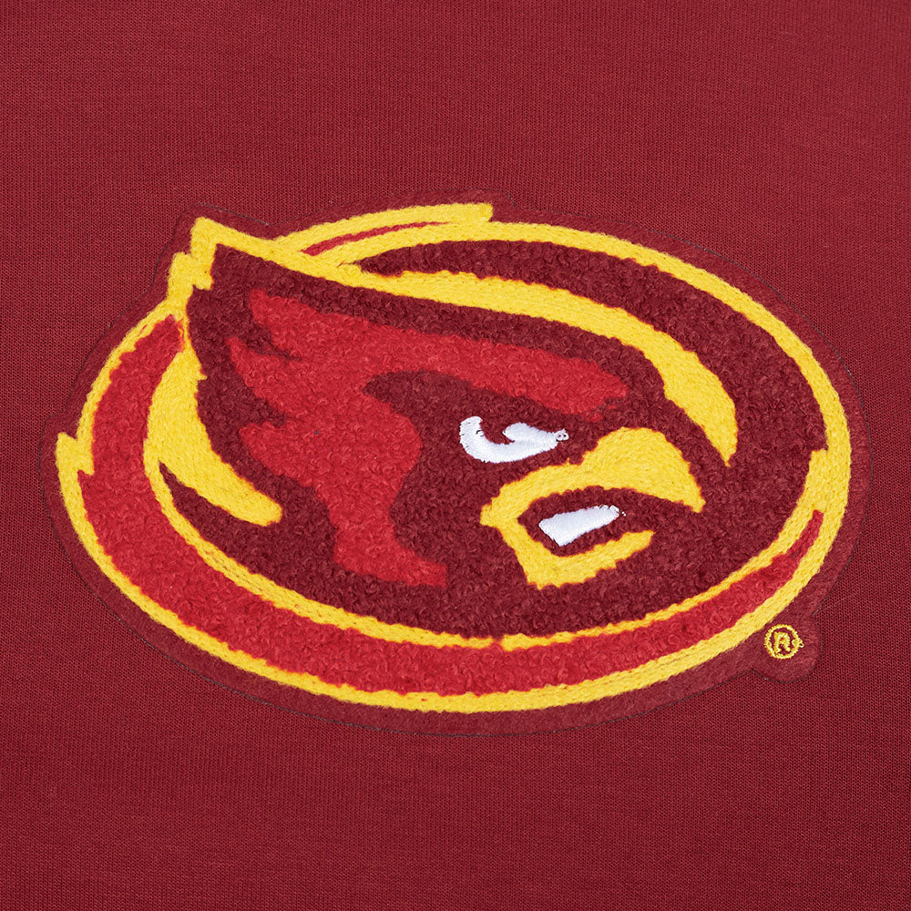 IOWA STATE UNIVERSITY CLASSIC MEN'S FZ PO HOODIE (CARDINAL RED) - Image 7