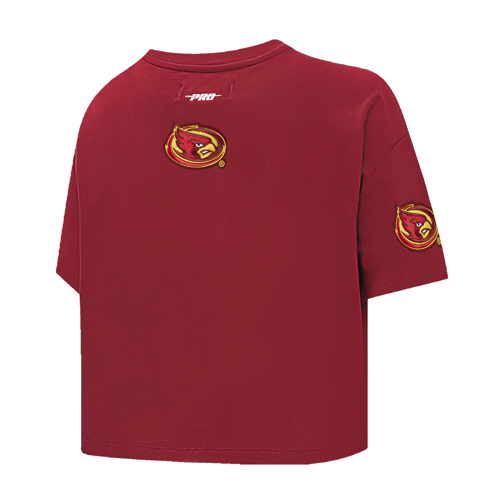 COLLEGE IOWA STATE UNIVERSITY COLLEGE CLASSIC ESSENTIALS WOMEN'S SJ BOXY TEE (CARDINAL RED) - Image 6