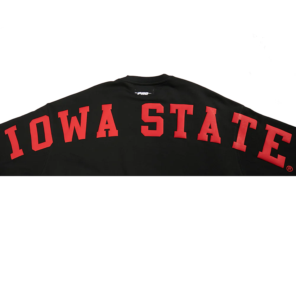 COLLEGE IOWA STATE UNIVERSITY WINGSPAN WOMEN'S FLC CREWNECK (BLACK) - Image 14