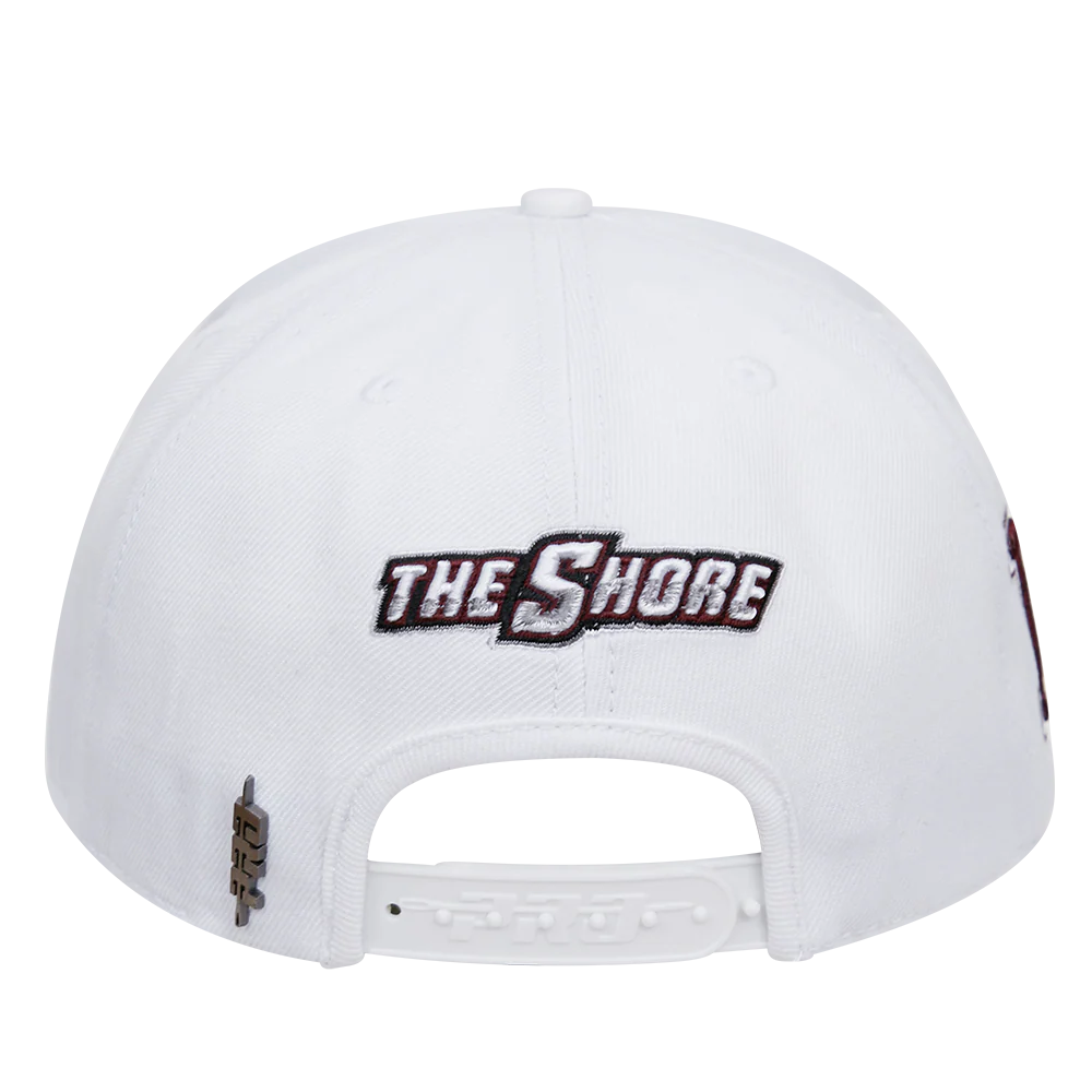 MARYLAND EASTERN SHORE CLASSIC UNISEX WOOL SNAPBACK HAT (WHITE) - Image 3