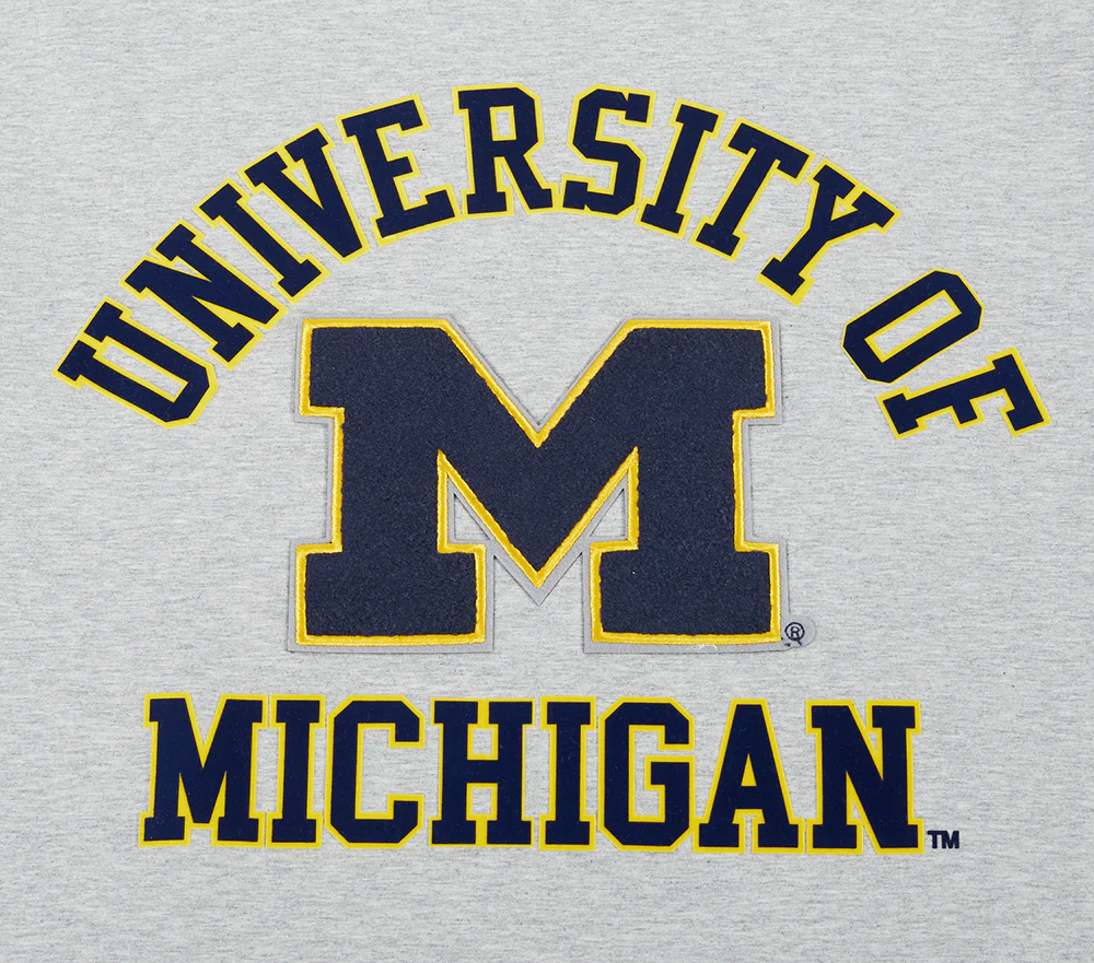 UNIVERSITY OF MICHIGAN CLASSIC MEN'S STACKED LOGO TEE (HEATHER GREY) - Image 7