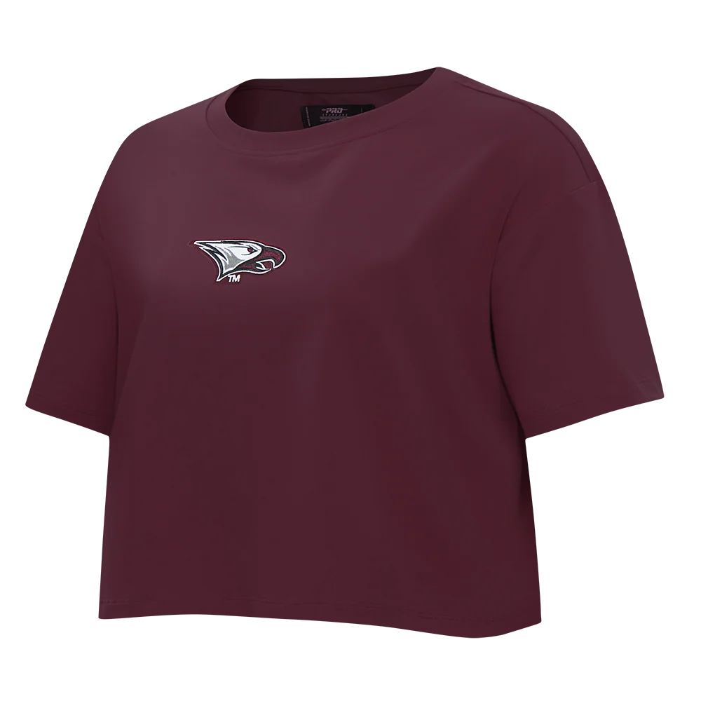 COLLEGE NORTH CAROLINA CENTRAL UNIVERSITY WINGSPAN WOMEN'S SJ BOXY TEE (WINE) - Image 4