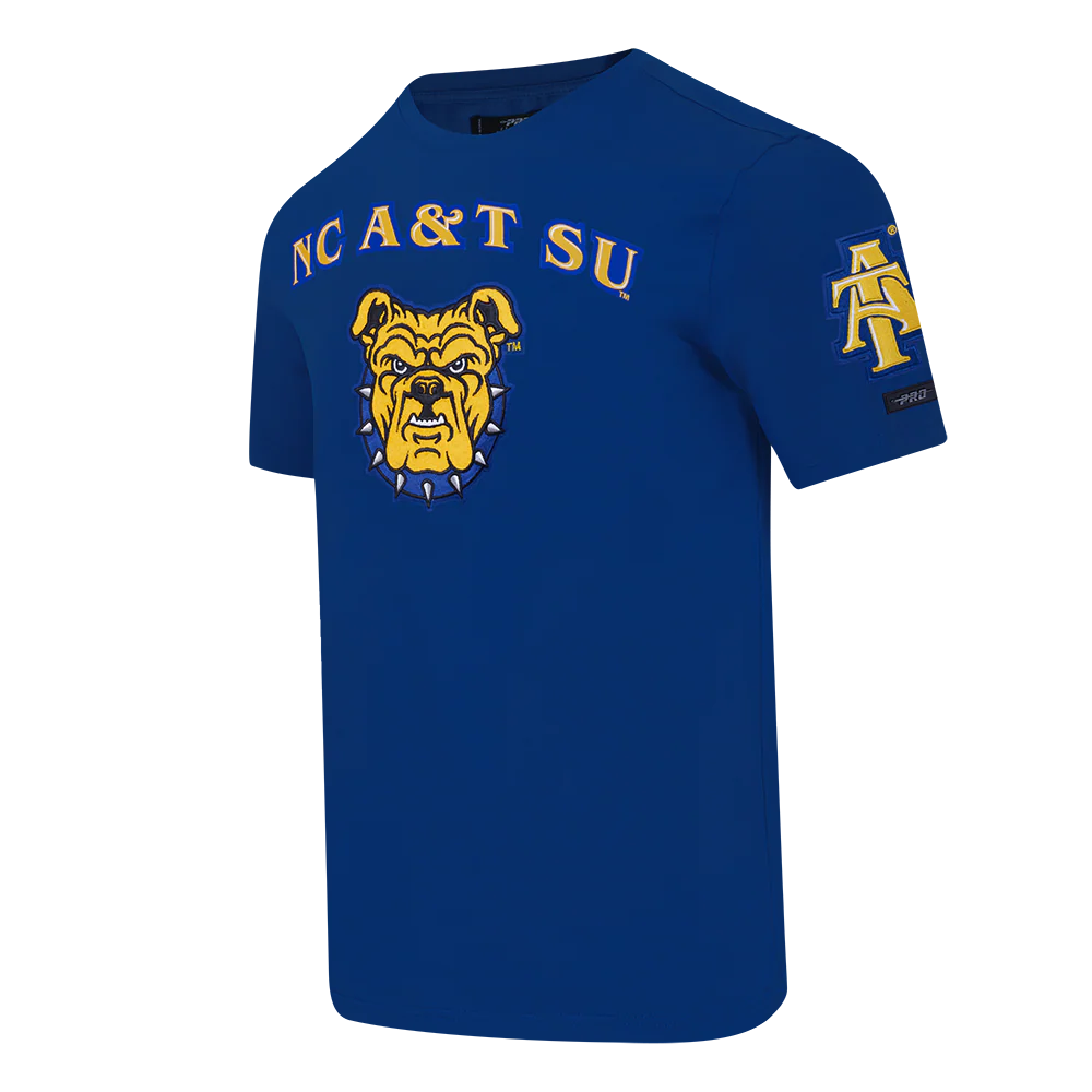 NORTH CAROLINA A&T STATE UNIVERSITY CLASSIC STACKED LOGO SINGLE JERSEY (DODGER BLUE) - Image 2