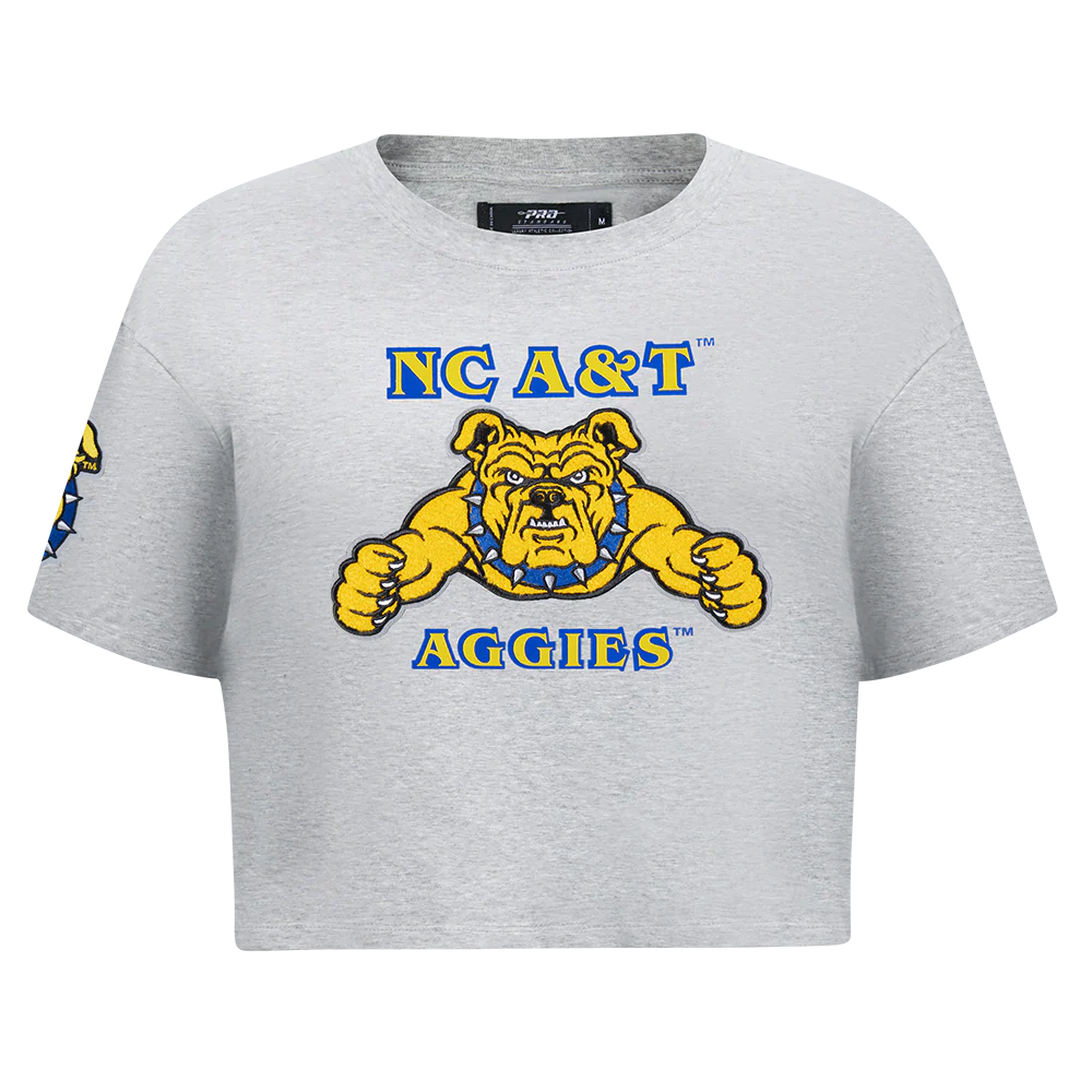 NORTH CAROLINA A&T STATE UNIVERSITY CLASSIC WOMEN'S SINGLE JERSEY BOXY TEE (HEATHER GREY)