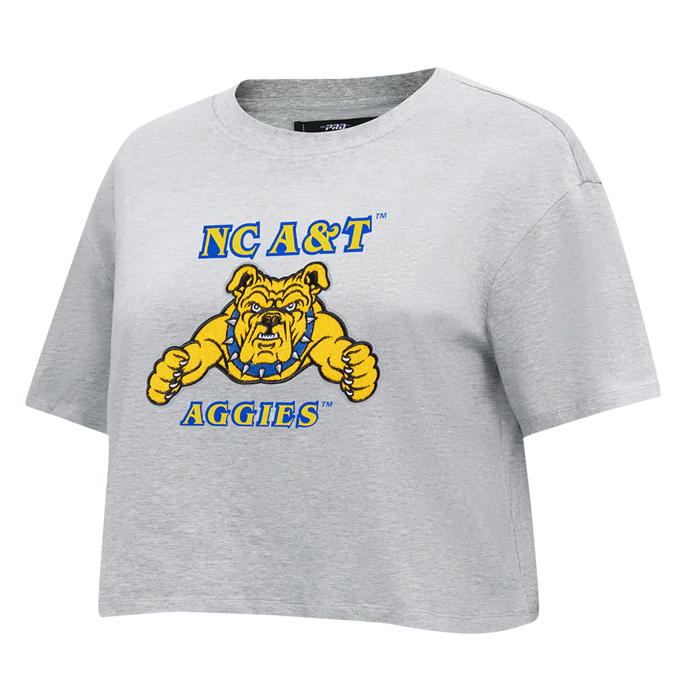 NORTH CAROLINA A&T STATE UNIVERSITY CLASSIC WOMEN'S SINGLE JERSEY BOXY TEE (HEATHER GREY) - Image 2