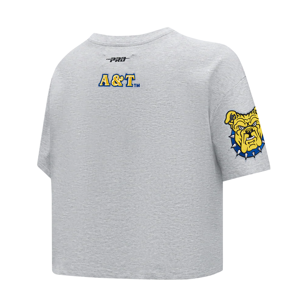 NORTH CAROLINA A&T STATE UNIVERSITY CLASSIC WOMEN'S SINGLE JERSEY BOXY TEE (HEATHER GREY) - Image 4