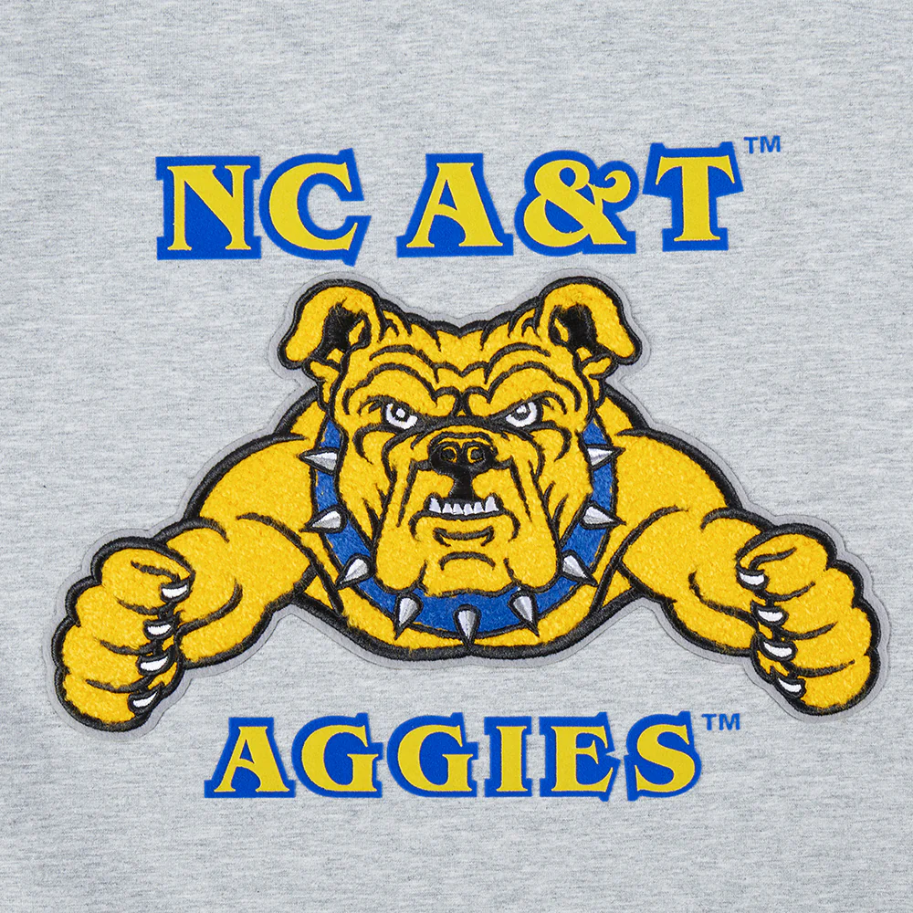 NORTH CAROLINA A&T STATE UNIVERSITY CLASSIC WOMEN'S SINGLE JERSEY BOXY TEE (HEATHER GREY) - Image 5