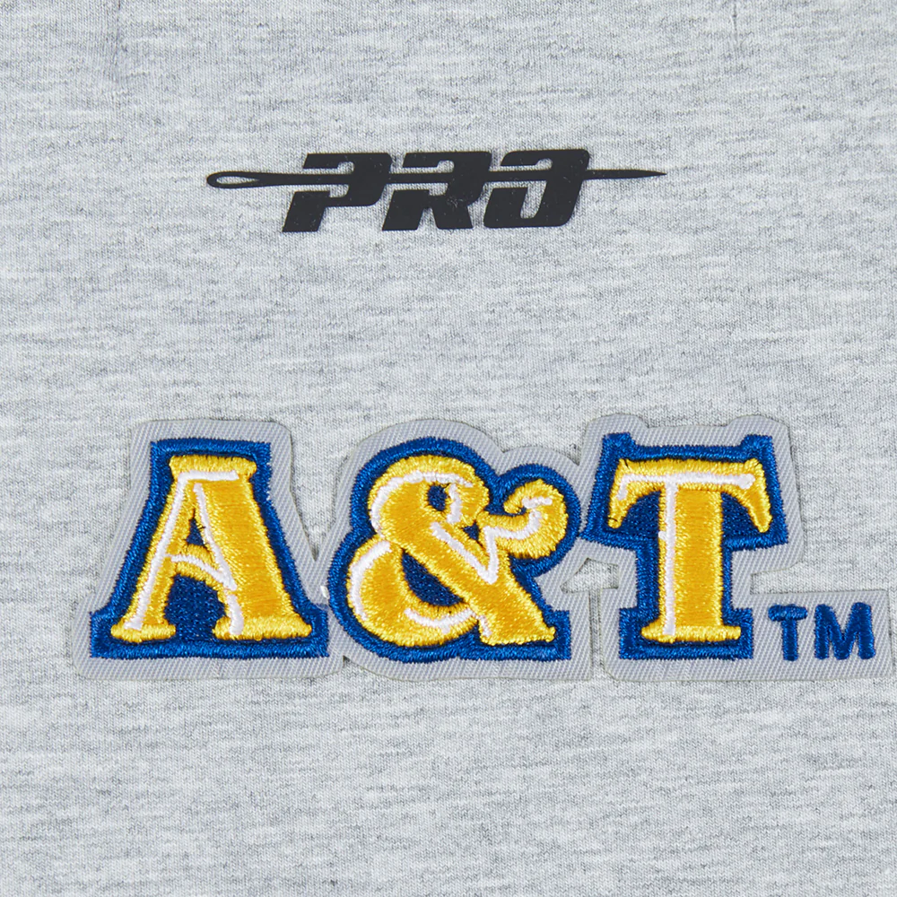 NORTH CAROLINA A&T STATE UNIVERSITY CLASSIC WOMEN'S SINGLE JERSEY BOXY TEE (HEATHER GREY) - Image 7
