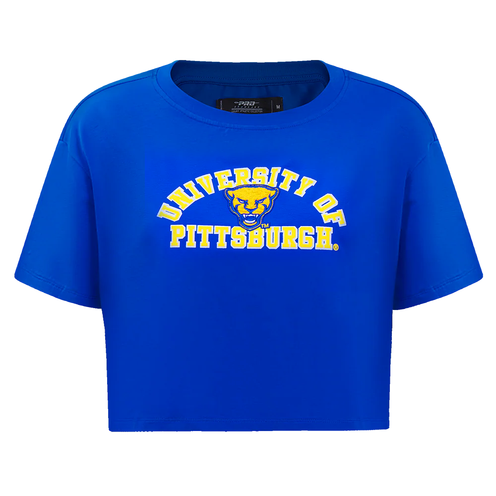 UNIVERSITY OF PITTSBURGH CLASSIC SINGLE JERSEY BOXY TEE (HEATHER GREY) - Image 5