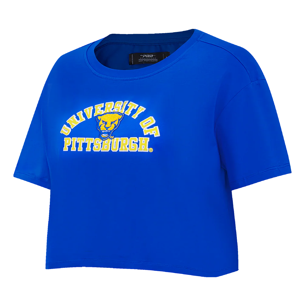 UNIVERSITY OF PITTSBURGH CLASSIC SINGLE JERSEY BOXY TEE (HEATHER GREY) - Image 6