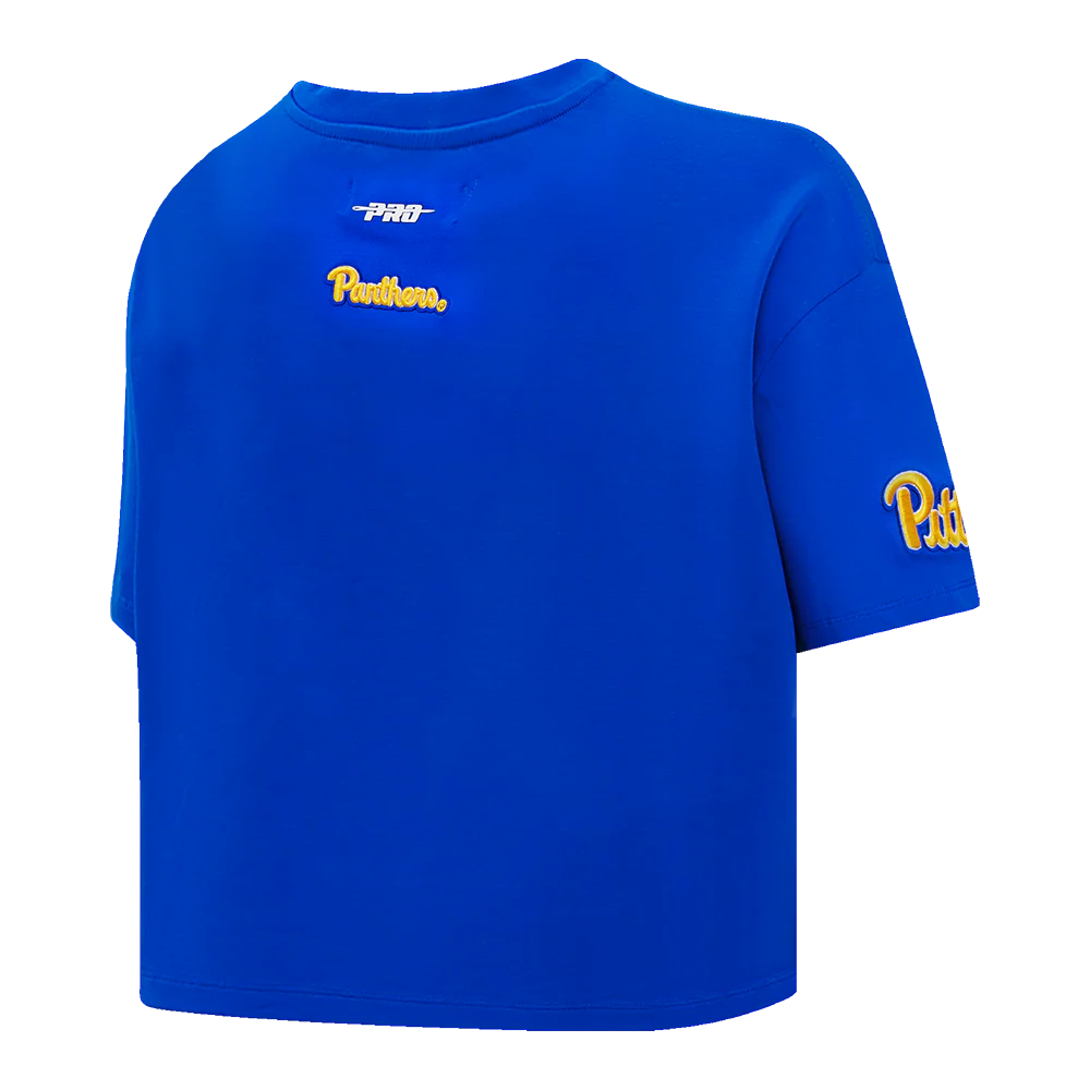 UNIVERSITY OF PITTSBURGH CLASSIC SINGLE JERSEY BOXY TEE (HEATHER GREY) - Image 7