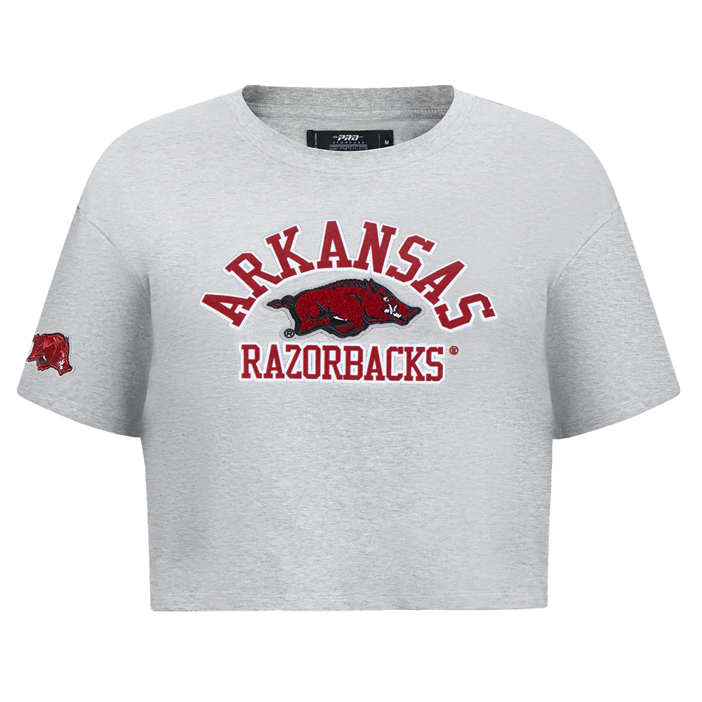 UNIVERSITY OF ARKANSAS FAYETTEVILLE CLASSIC WOMEN'S SINGLE JERSEY BOXY TEE (HEATHER GREY)