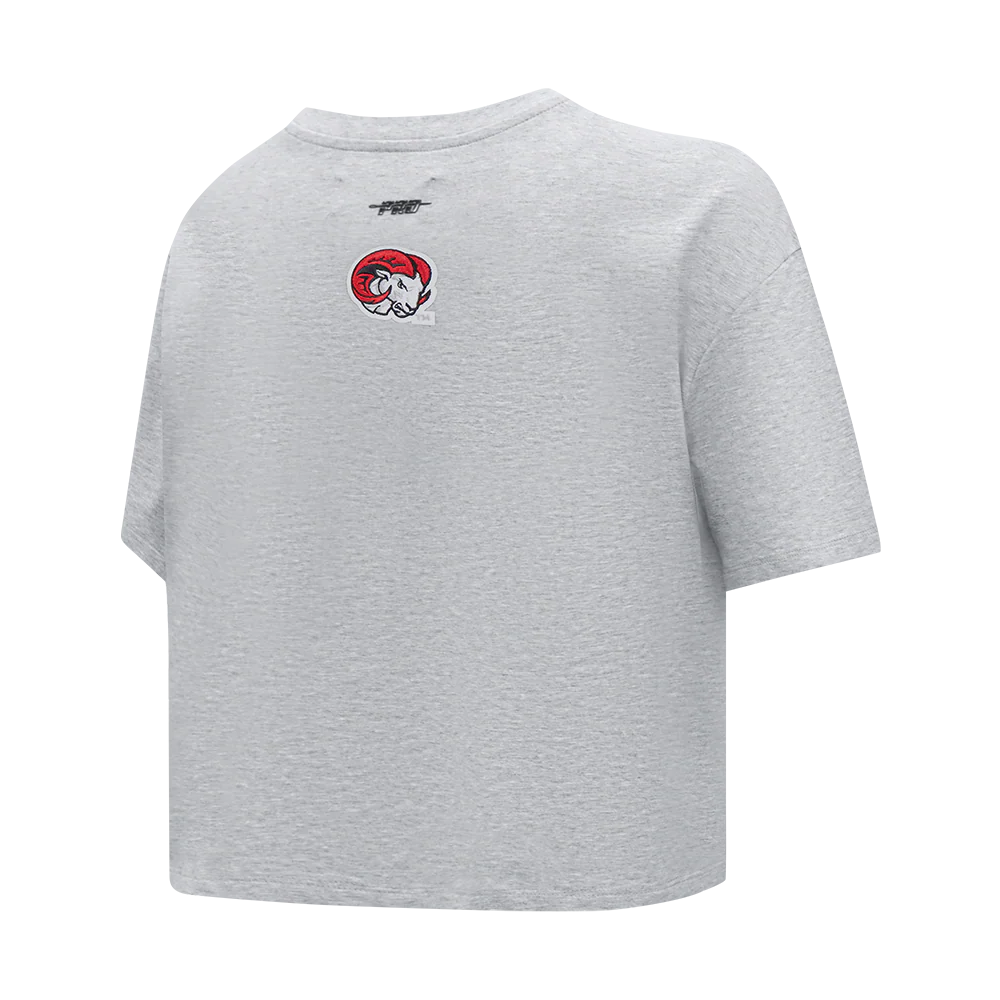 WINSTON-SALEM STATE UNIVERSITY CLASSIC WOMEN'S SINGLE JERSEY BOXY TEE (HEATHER GREY) - Image 4