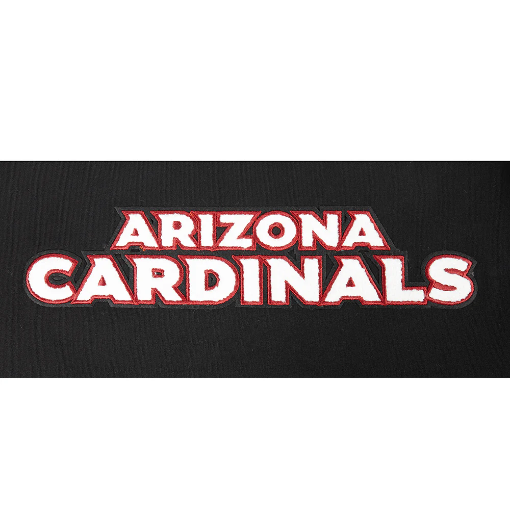 NFL ARIZONA CARDINALS CLASSIC BIG BOYS SHORT SLEEVE STRIPED RIB TEE (BLACK) - Image 6