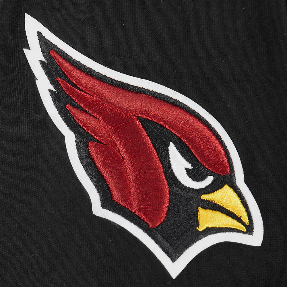 NFL ARIZONA CARDINALS CLASSIC BIG BOYS SHORT SLEEVE STRIPED RIB TEE (BLACK) - Image 7