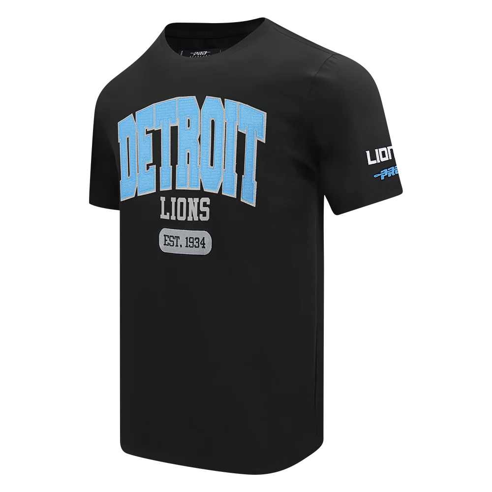 NFL DETROIT LIONS CITY ARCH MEN'S SJ TEE (BLACK) - Image 3