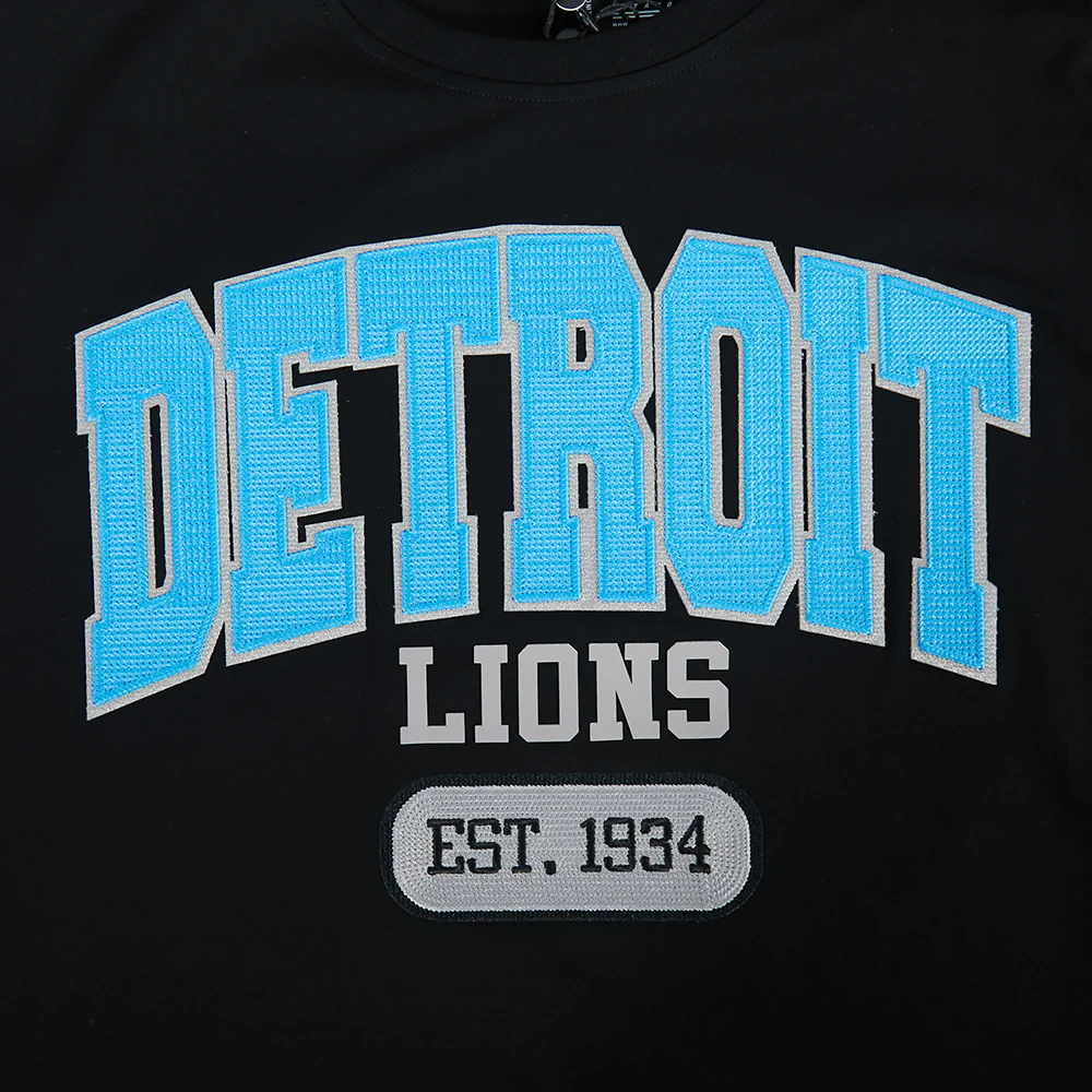 NFL DETROIT LIONS CITY ARCH MEN'S SJ TEE (BLACK) - Image 6